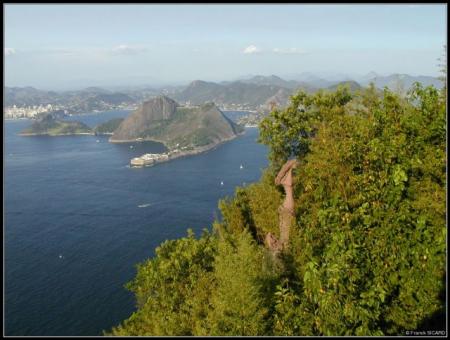 la paradis de la vie